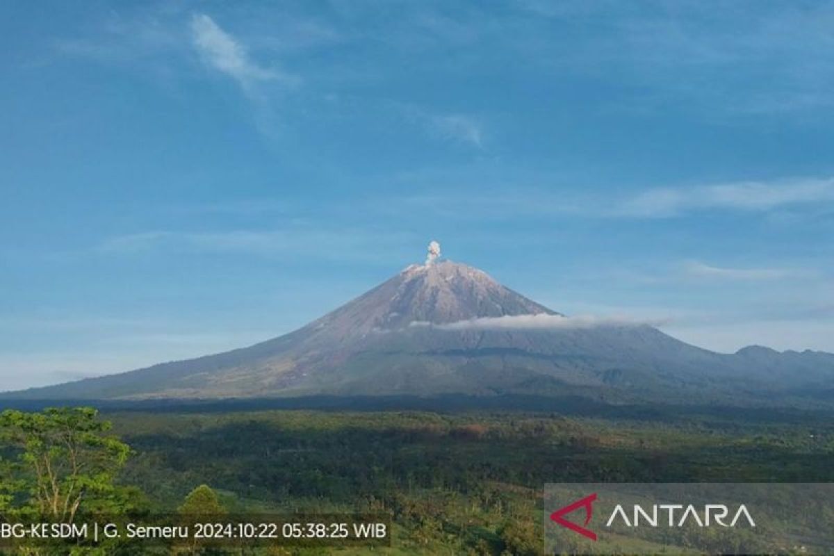 Gunung Semeru kembali erupsi dengan letusan setinggi 500 meter