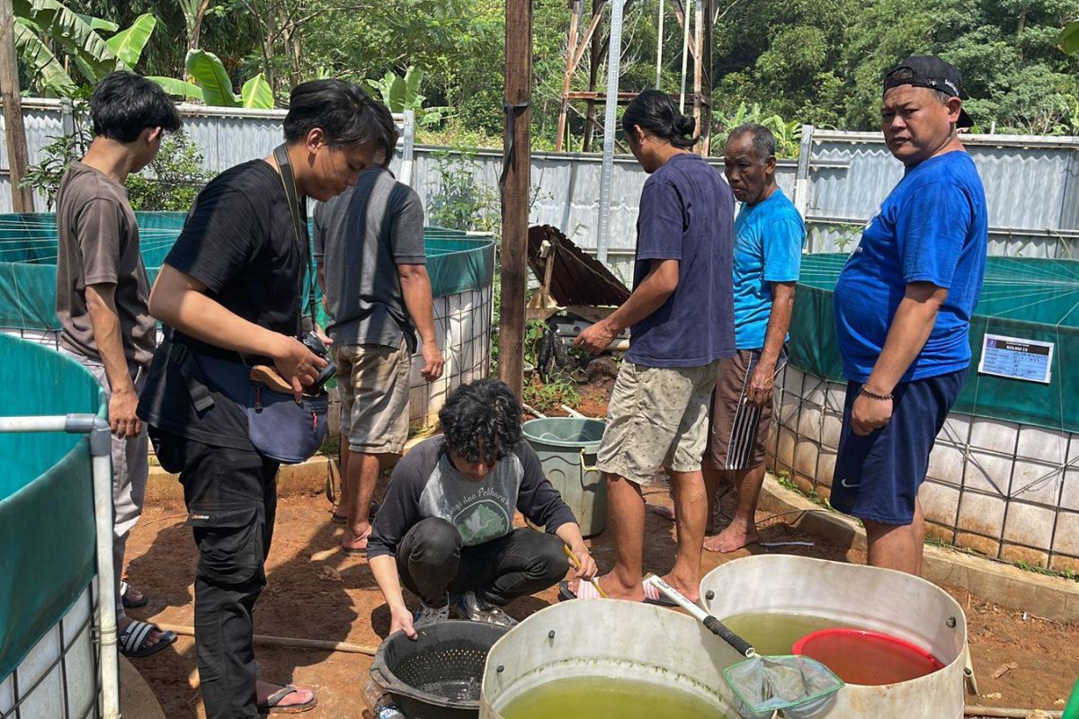 Desa Berdaya Binaan PLN Banten juarai lomba se-Kabupaten Tangerang