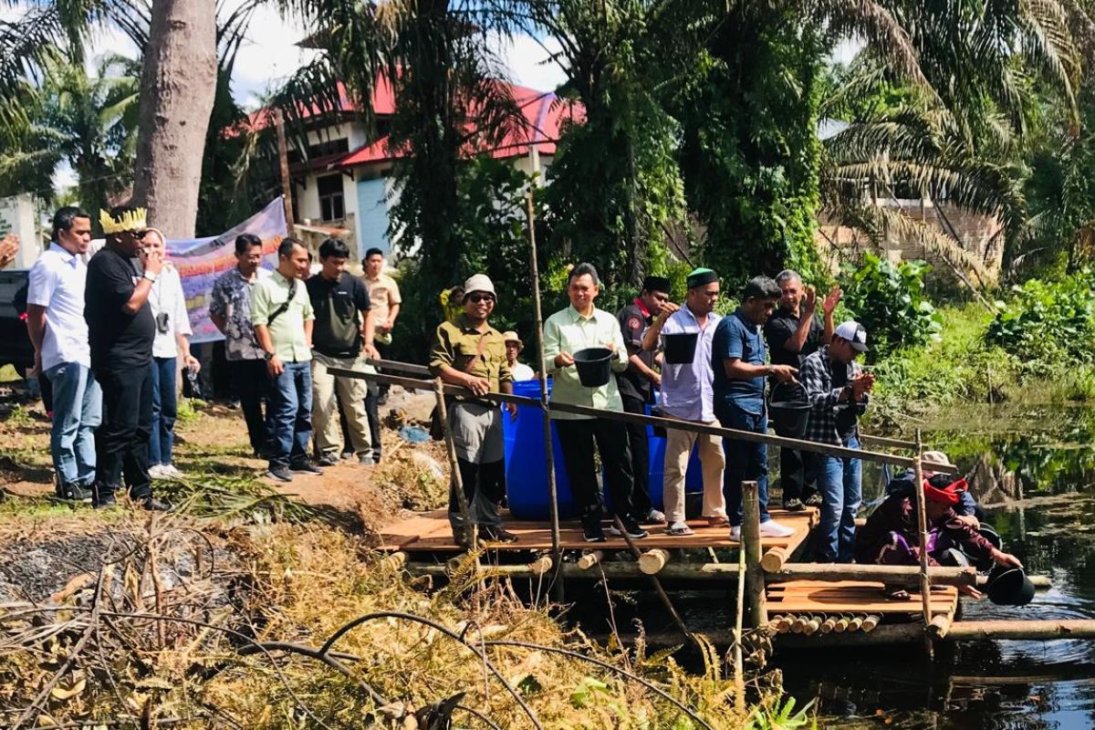 APP Group dan BRIN tebar ikan baung di Sungai Payongek