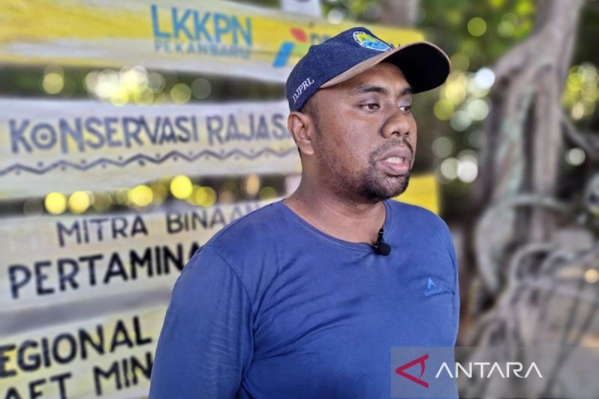 KKP identifikasi 12 jenis mamalia laut di Kawasan Konservasi Pieh