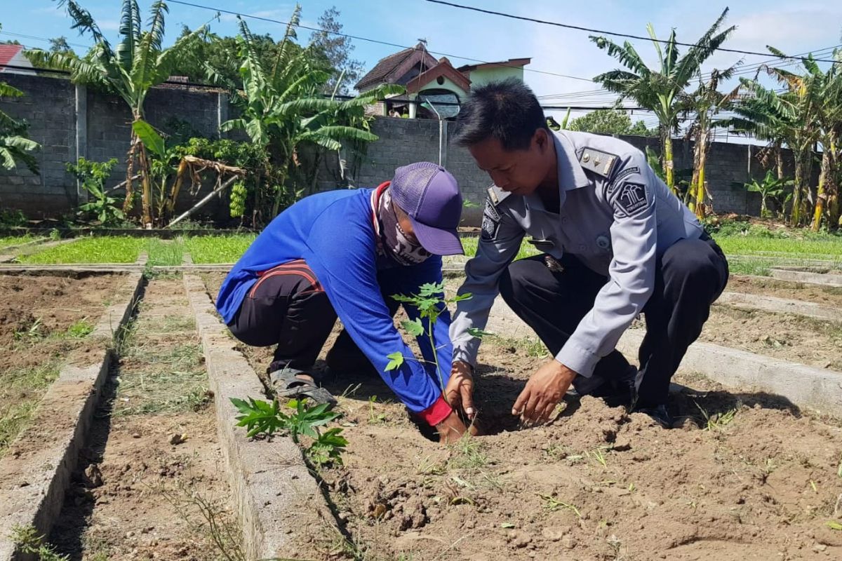 Lapas Kediri latih kemandirian warga binaan dengan bertani