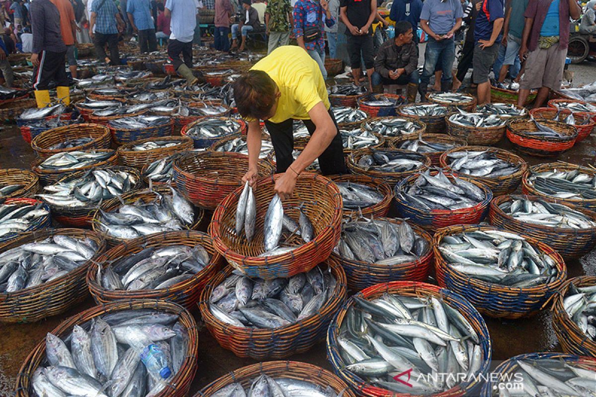 Indonesia's fisheries exports record surplus in 2018–2023