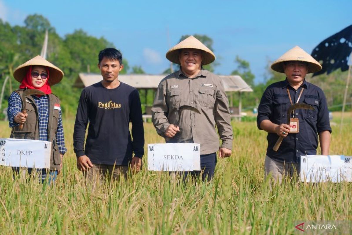 Pemkab Bintan siapkan lahan 19 ribu hektare guna wujudkan ketahanan pangan