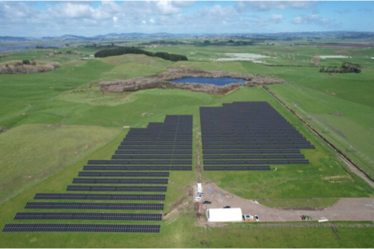 Trinasolar Partners with Kiwi Solar and Trilect to Launch Waikato