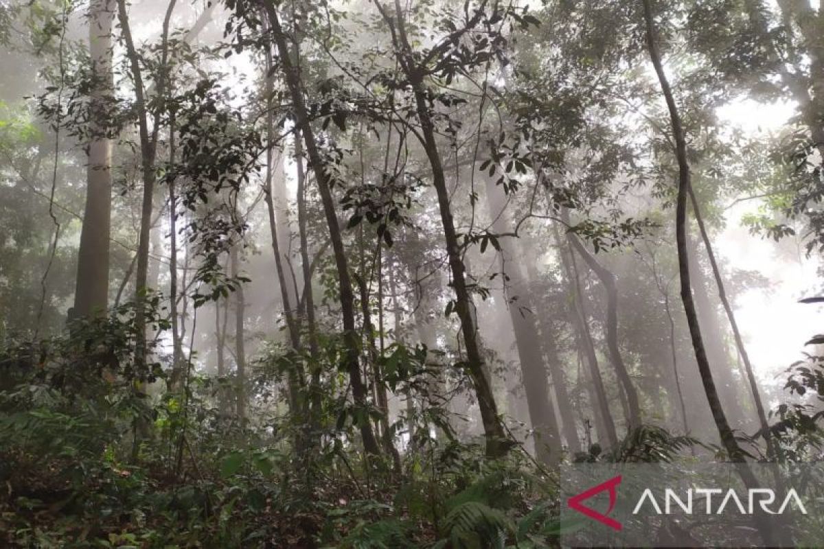 Pemprov Aceh kuatkan kebijakan anggaran untuk pengelolaan ekologi