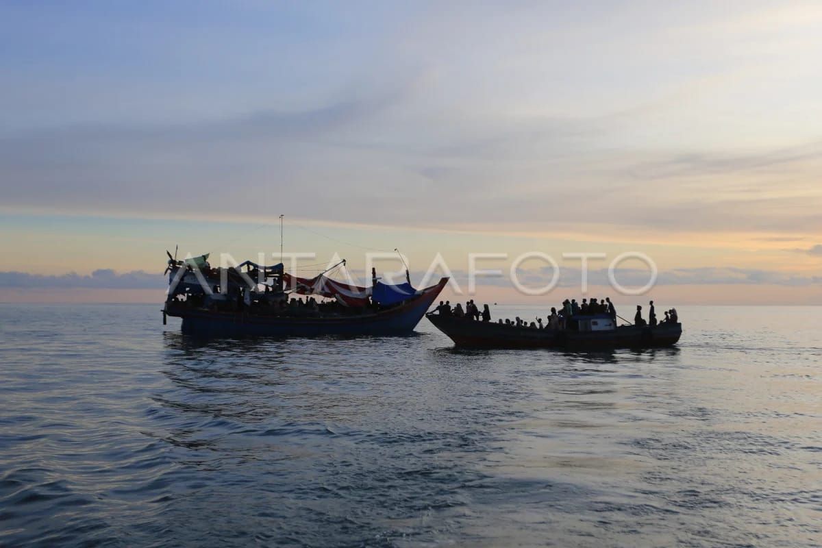 LSM Paska: Pemerintah perlu perhatikan Rohingya demi kemanusiaan