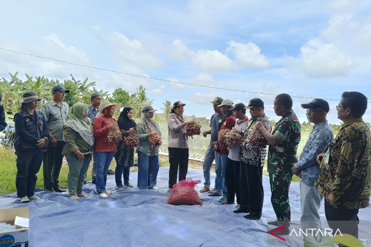 Petani Mukomuko terima bantuan benih bawang dari Kementan