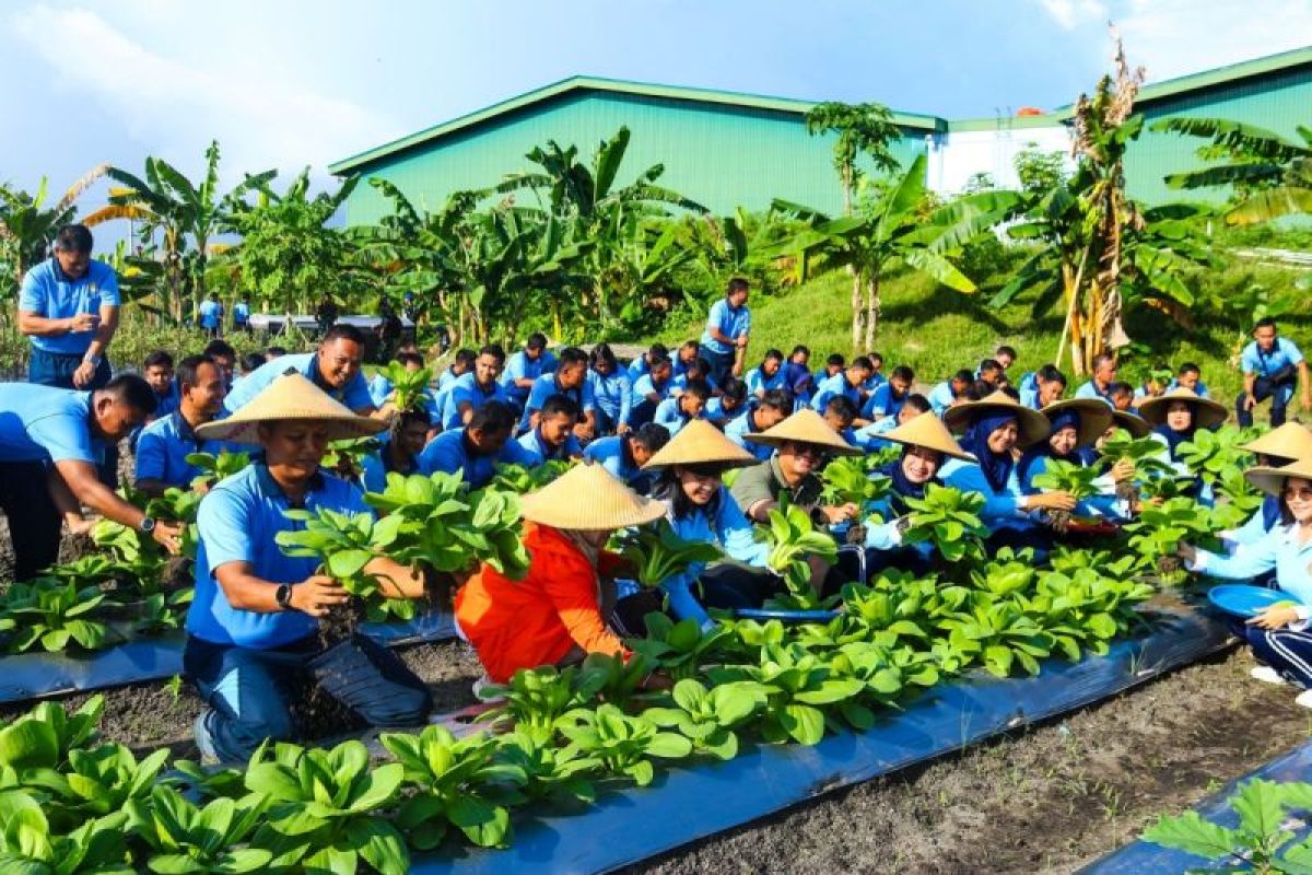 Lanud RSA bersama Pemkab Natuna panen buah dan sayur