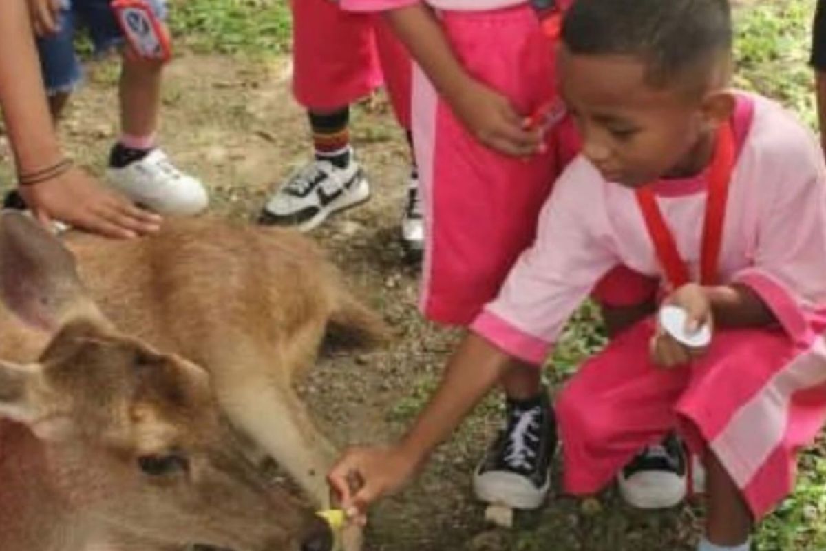 BKSDA Maluku kenalkan satwa dilindungi kepada anak usia  dini