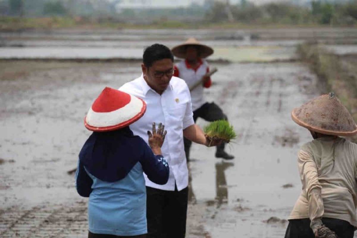 Wamentan sebut 3 juta hektare sawah dicetak demi ketahanan pangan Indonesia