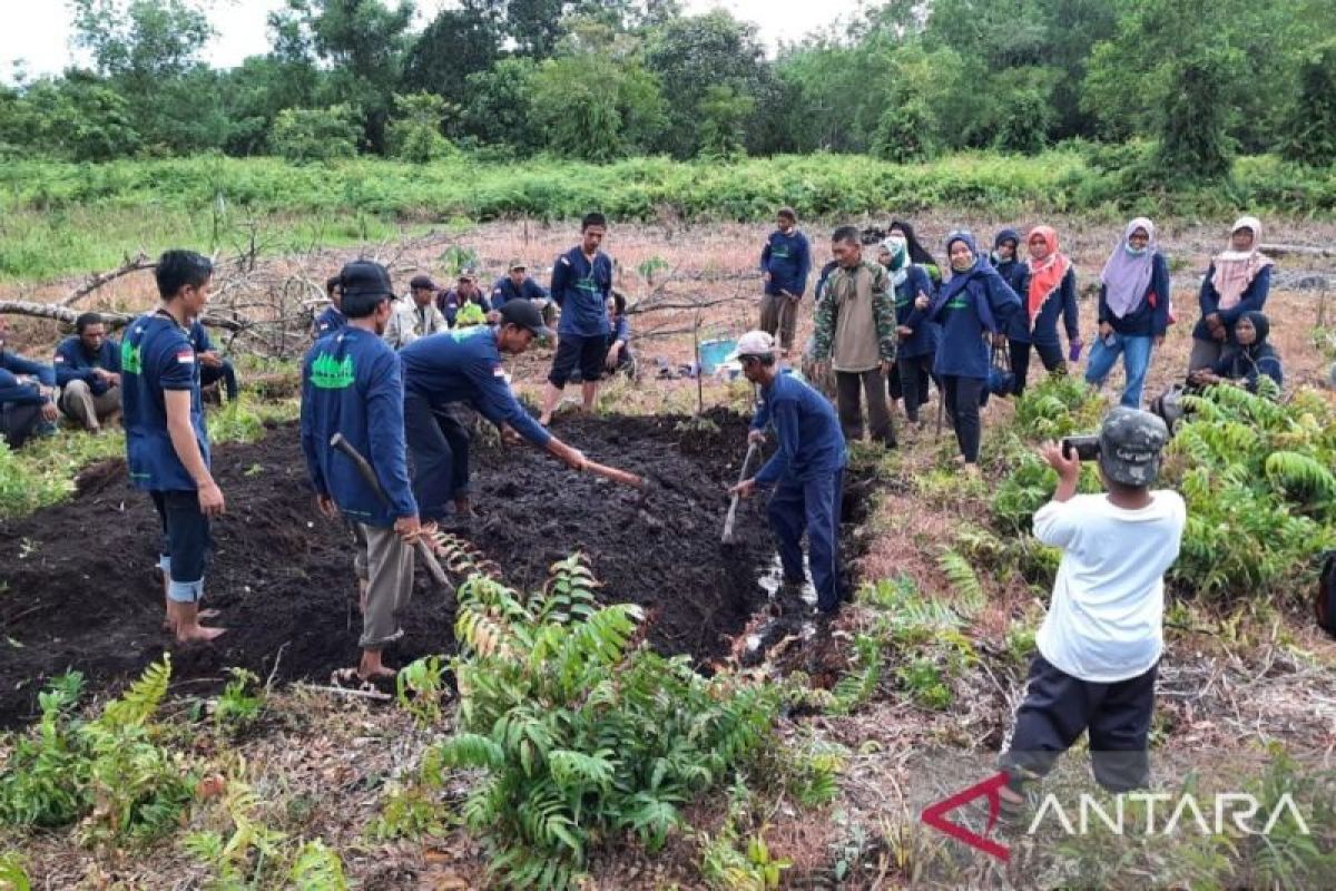 ICRAF Indonesia menyampaikan hasil riset Peat-IMPACTS di Kalbar