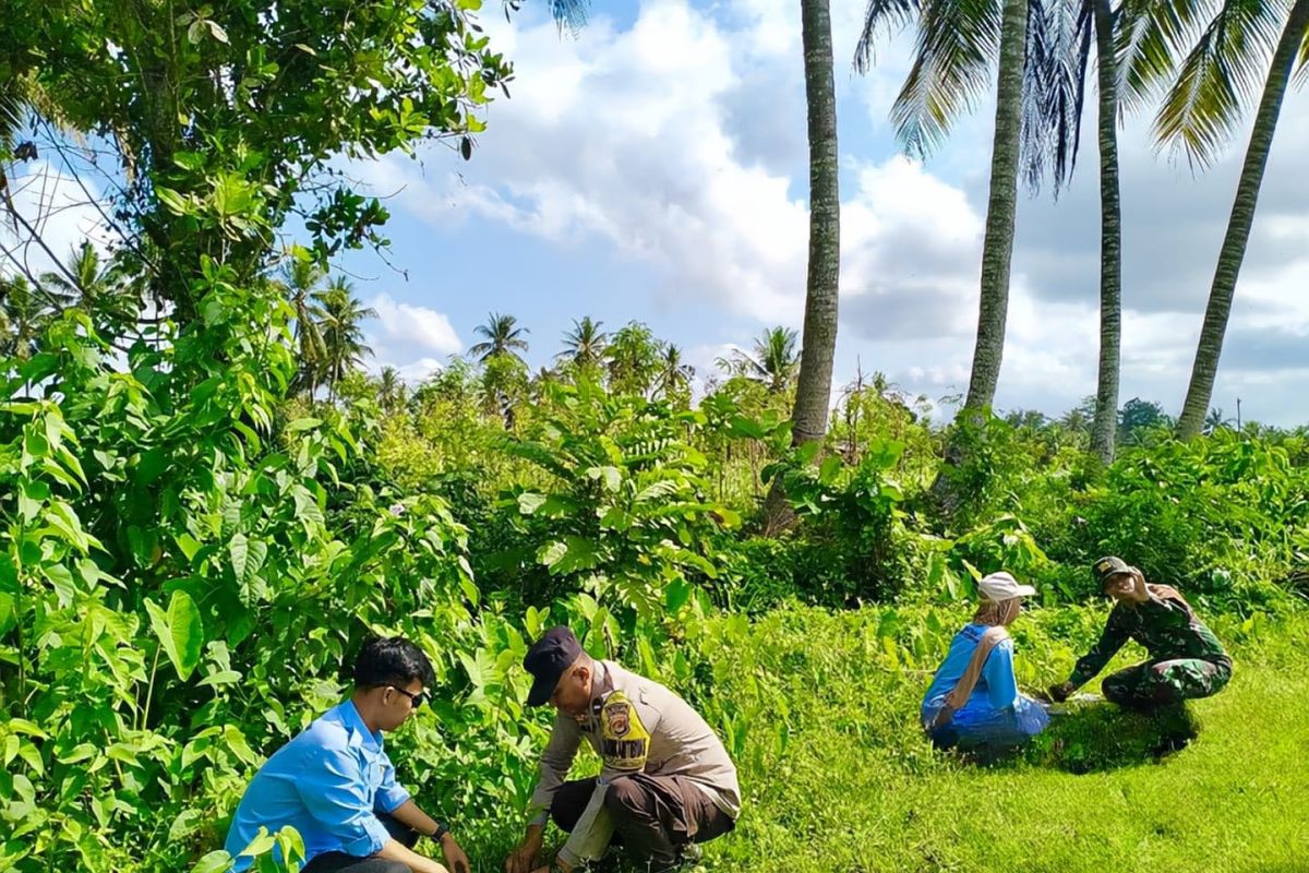 UNW Mataram tanam 1.000 bibit pohon di Lombok Timur