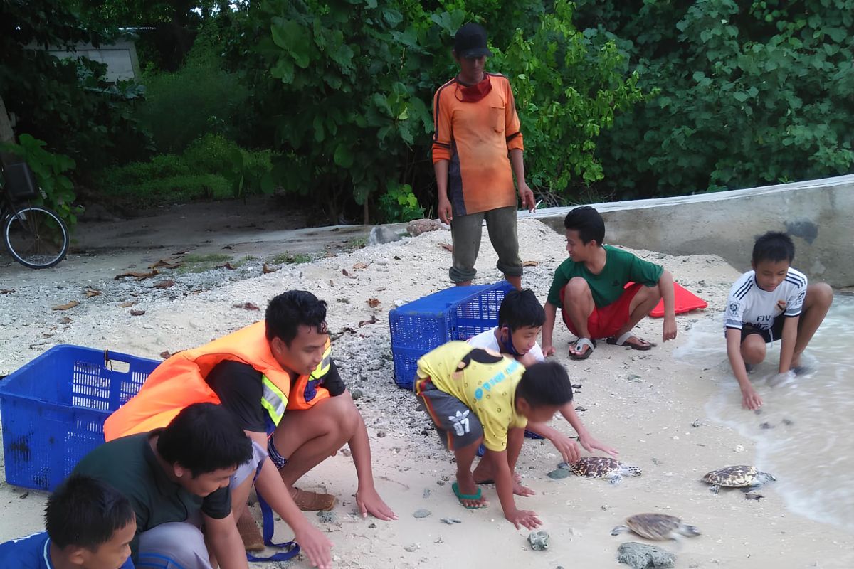 Rumah Penyu itu ada di Pulau Sabira Kepulauan Seribu