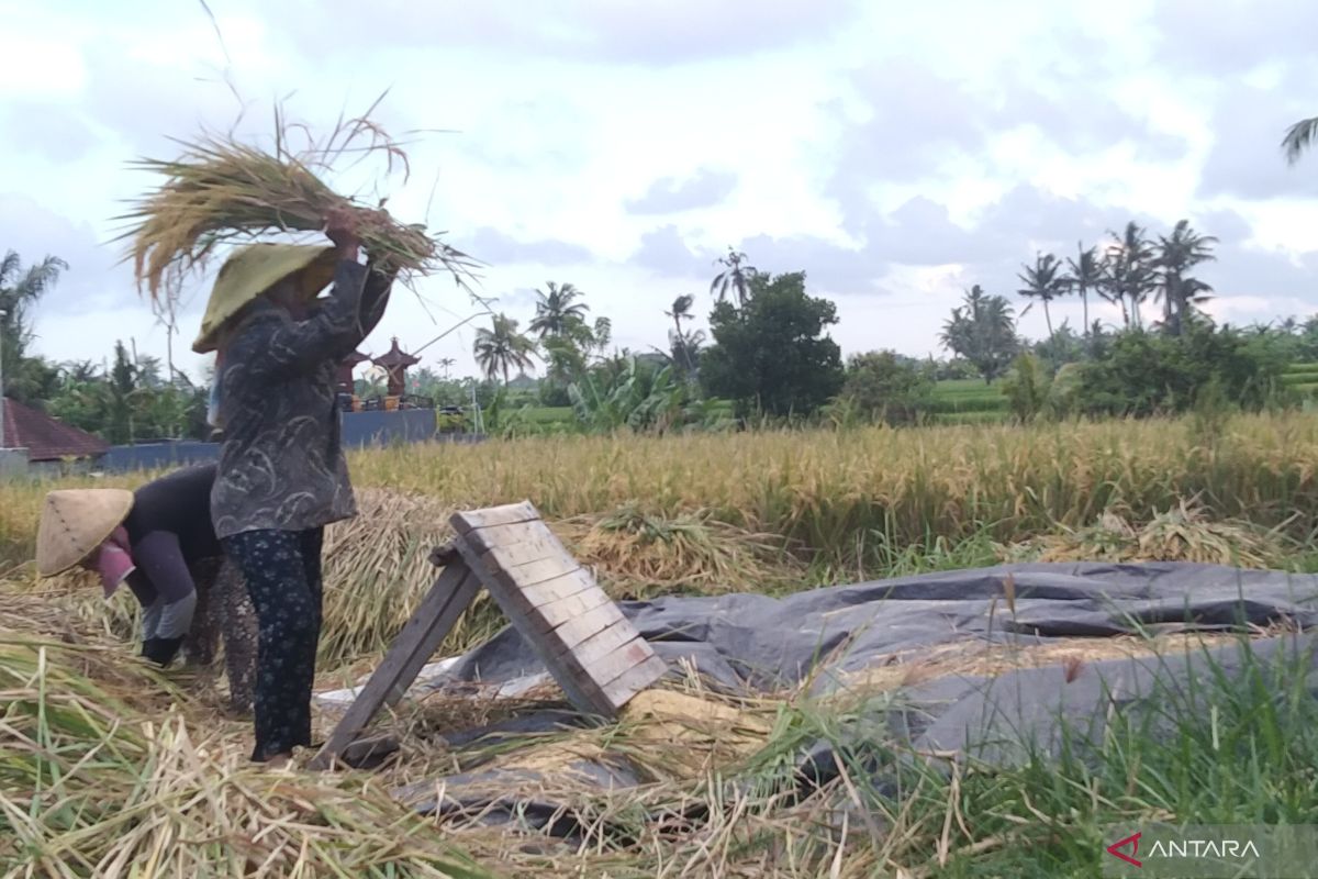 Soal  hapus utang, Wamenkop usulkan kredit diberikan melalui koperasi