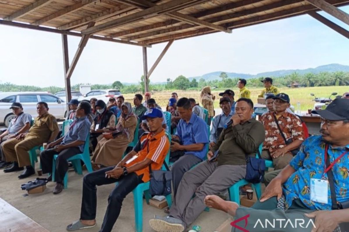 Disbun Kaltim latih kelompok tani Paser  cegah genoderma pada sawit