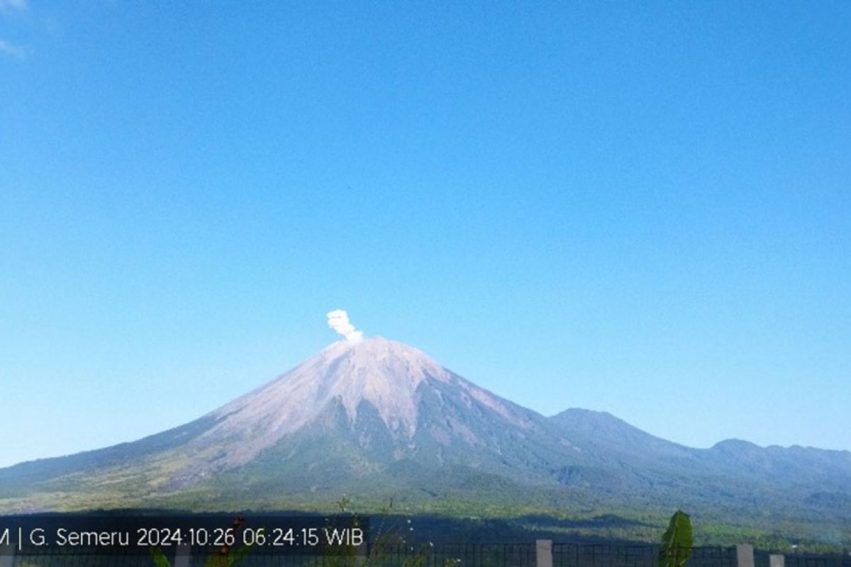 Gunung Semeru erupsi  lagi dengan letusan hingga 600 meter