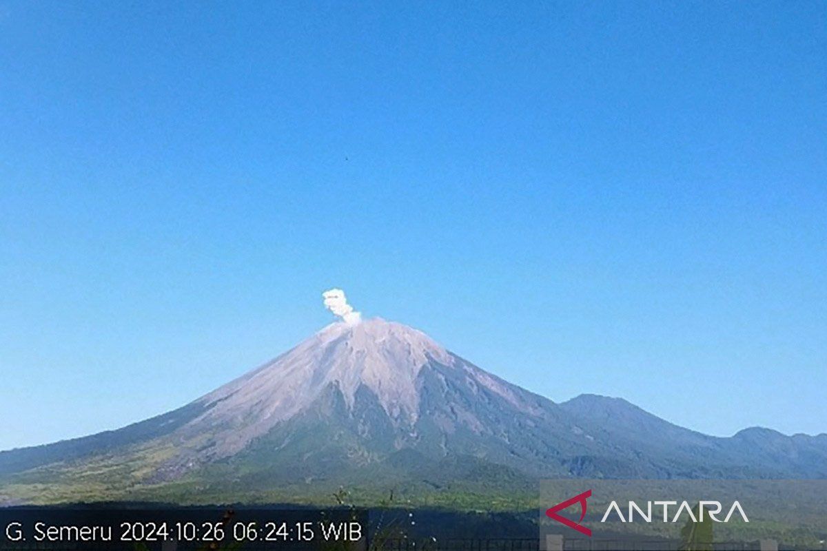 Gunung Semeru beberapa kali erupsi dengan letusan hingga 600 meter