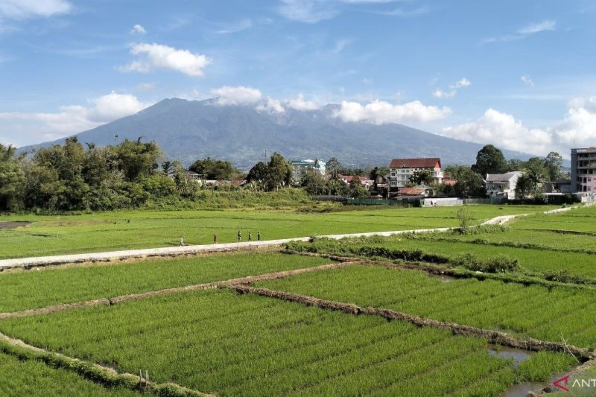 PVMBG: Gunung Marapi di Sumbar alami peningkatan aktivitas sejak 7 Oktober 2024