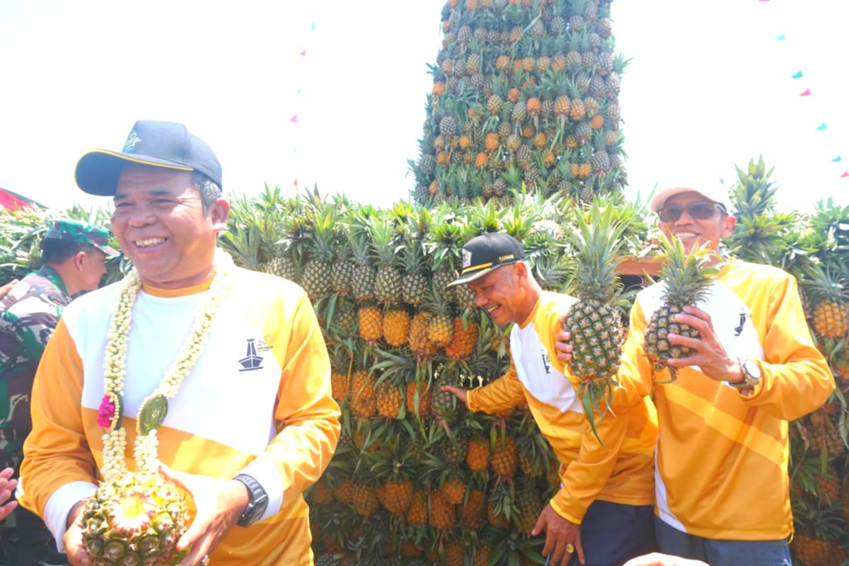 Pj Bupati berharap Festival Nanas Mekarsari mengangkat pamor buah lokal Batola