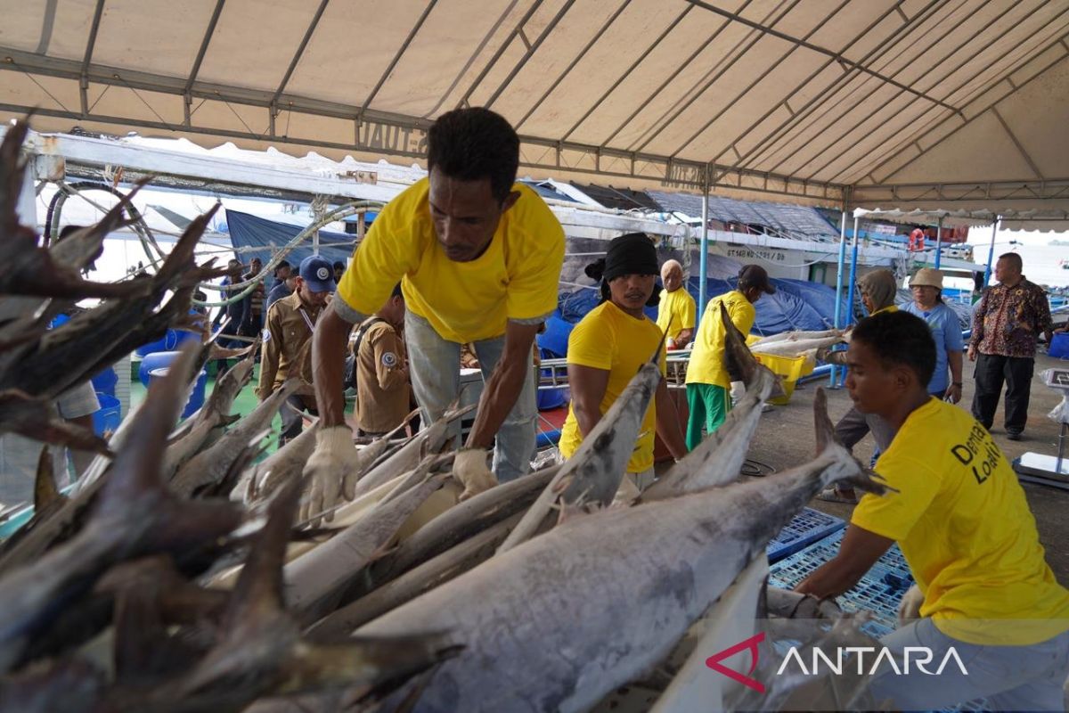 KKP: Aspek sosial ekonomi penting dalam kelola tuna berkelanjutan