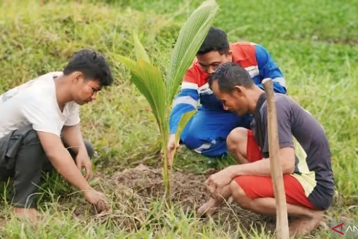 Masyarakat Talang Jambe Sumsel lakukan gerakan menanam pohon kelapa di ring satu