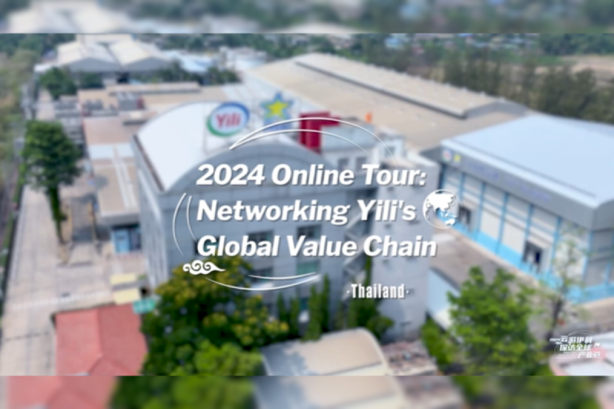 Thailand Episode of Yili's 2024 Online Tour: Unveiling Cremo's Success Story