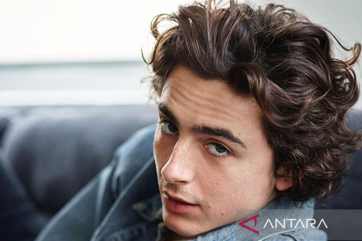 Timothee Chalamet muncul mengejutkan di konten kembarannya di New York