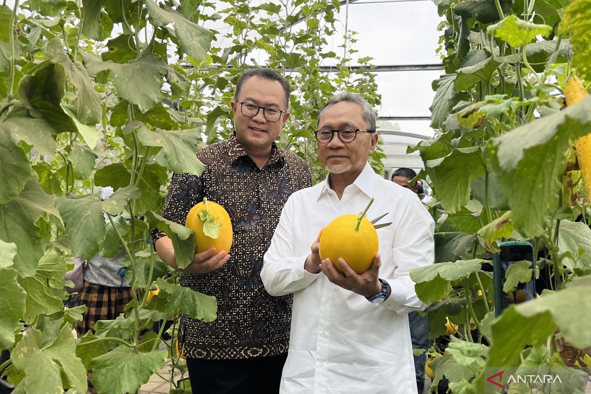 Kunjungi IPB, Menko Pangan tekankan kunci kolaborasi untuk swasembada