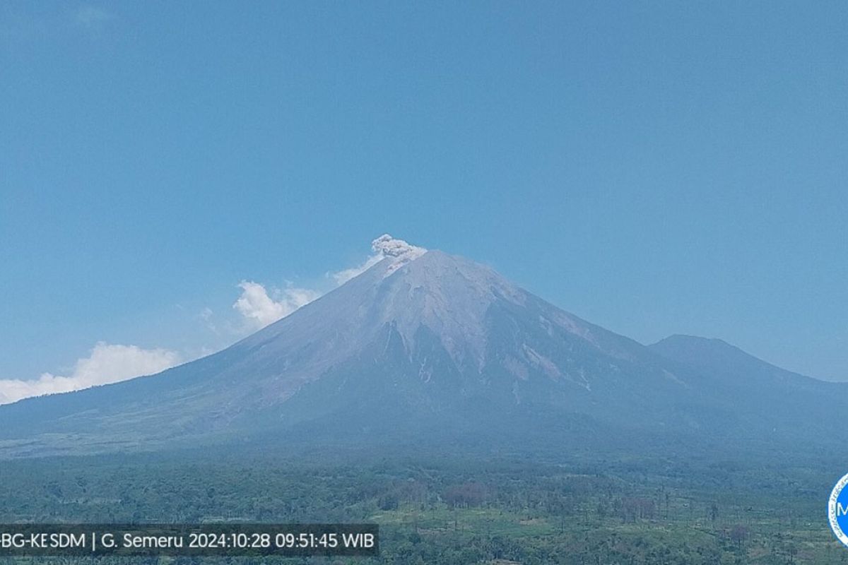 Gunung Semeru erupsi lagi dengan letusan hingga 800 meter