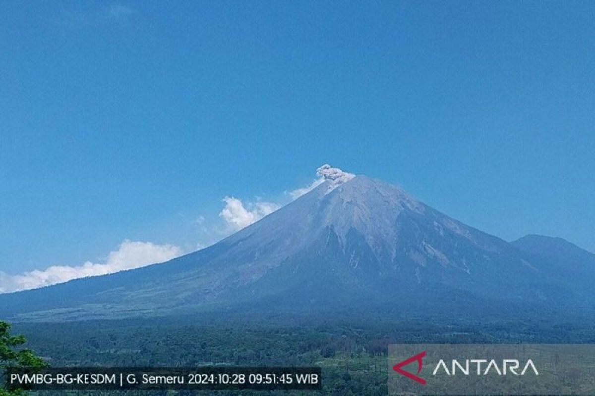 Gunung Semeru erupsi lagi dengan letusan hingga 800 meter