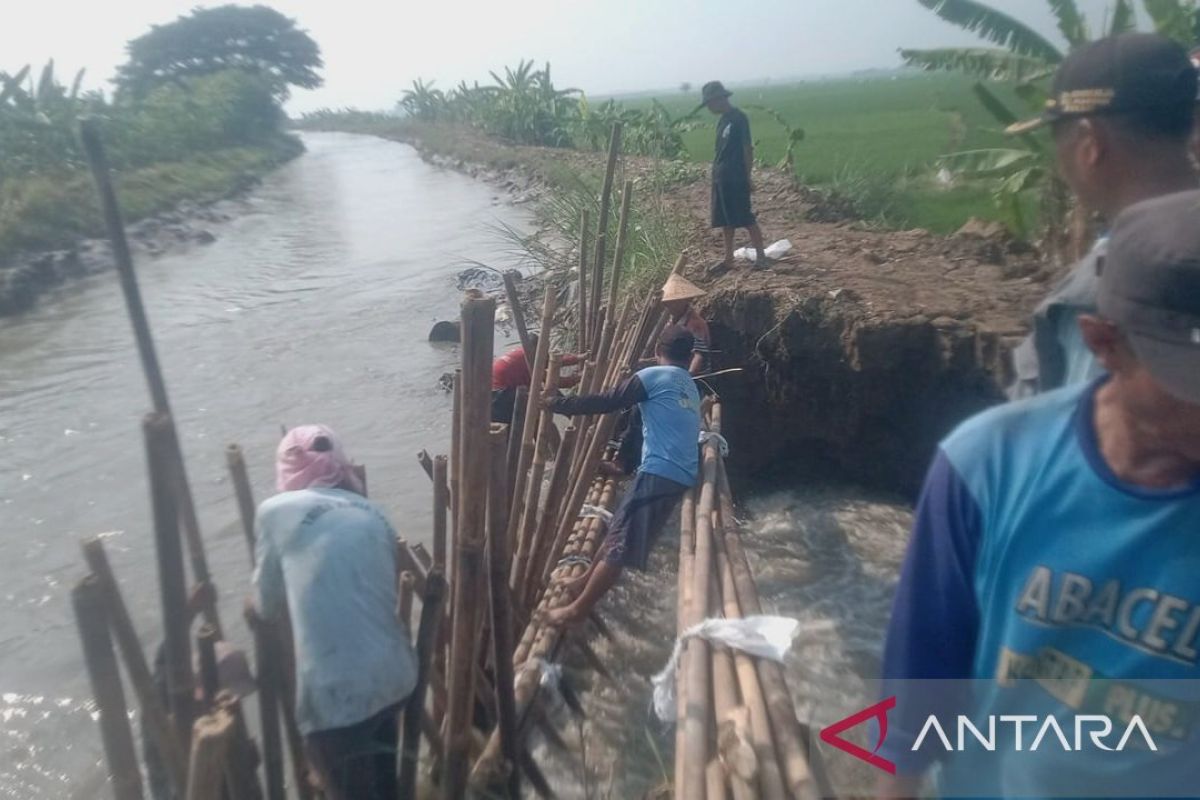 Relawan bencana Bekasi gotong royong perbaiki tanggul jebol