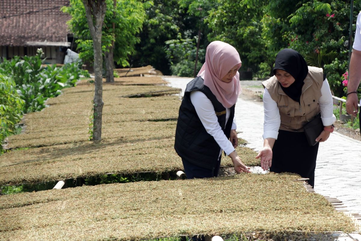 APTI  harapkan Presiden Prabowo melindungi jutaan petani tembakau