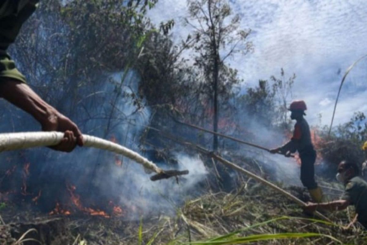 Wilayah Sumut terdeteksi 28 titik panas, simak penjelasan BBMKG