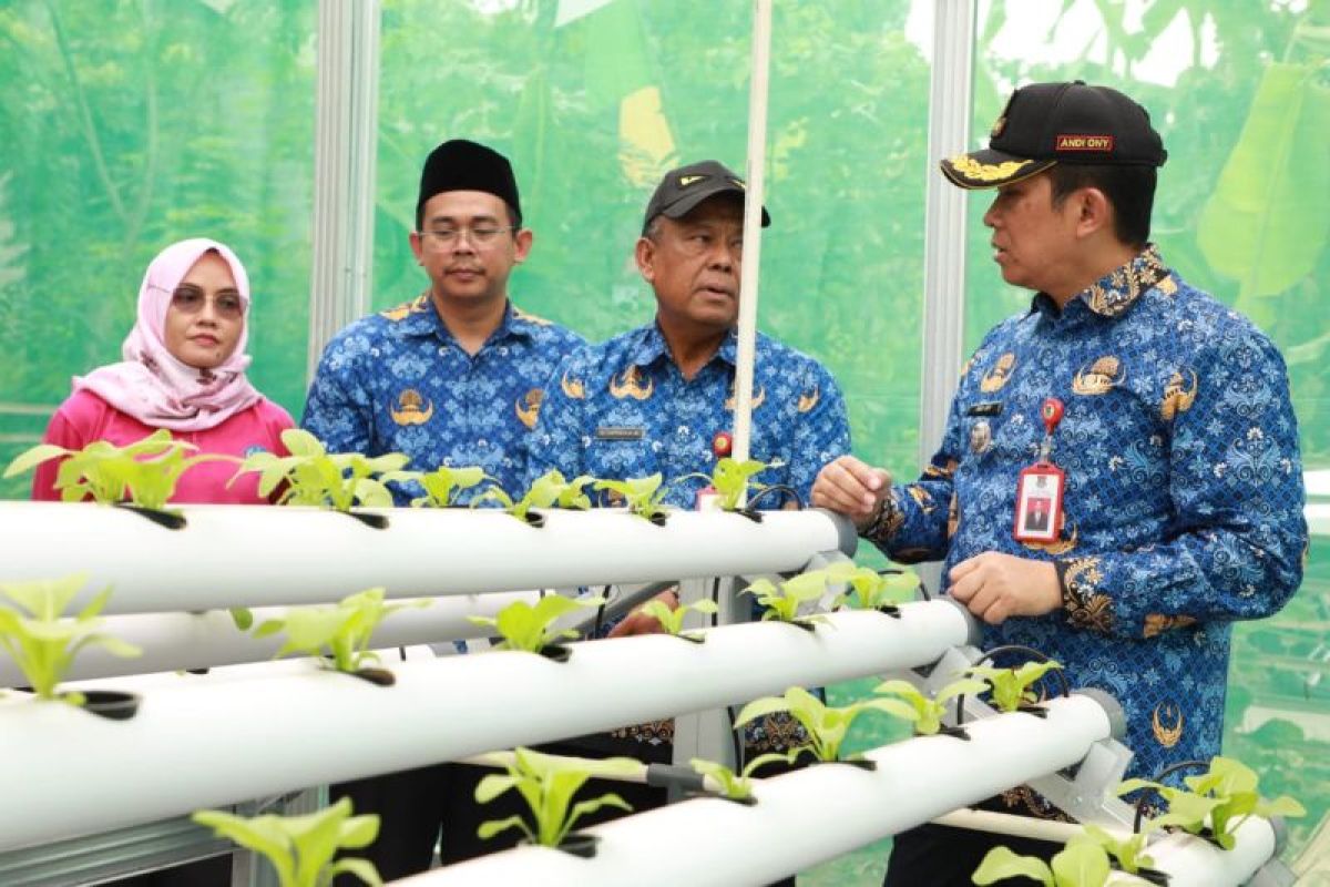 Pemkab Tangerang dukung pengembangan pertanian hidroponik