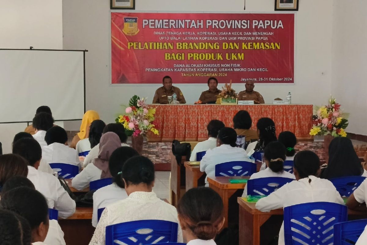 Pemprov beri pelatihan strategi pengembangan produk UMKM Papua