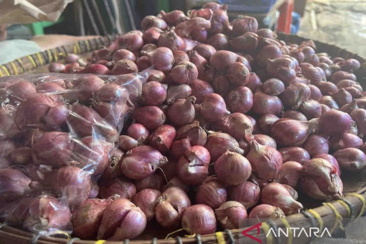 Harga pangan Selasa pagi, bawang merah naik menjadi Rp30.940 per kg