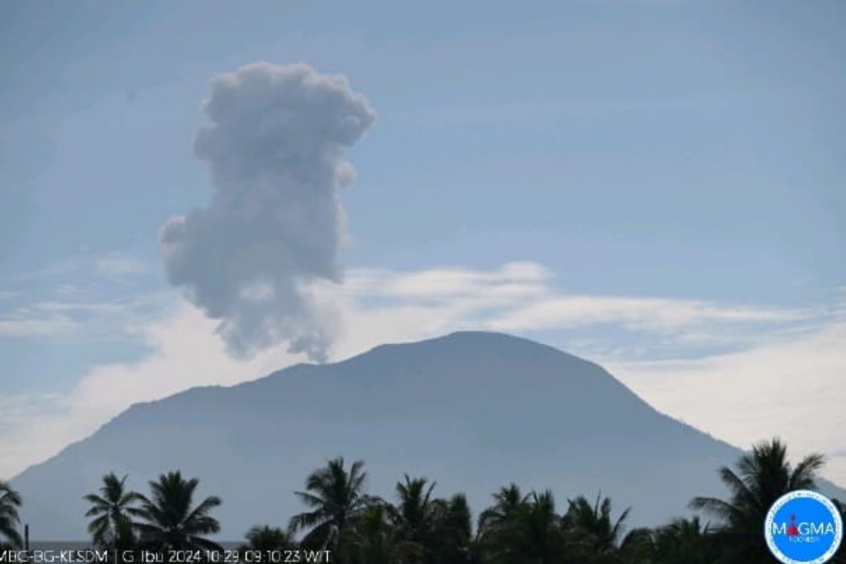 Gunung Ibu di Halmahera Barat erupsi dengan kolom setinggi 800 meter pada Selasa pagi