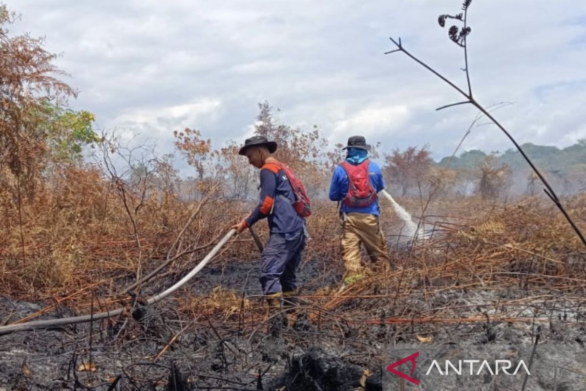 Kebakaran lahan di Aceh Barat capai 8 Hektare, begini penyebarannya