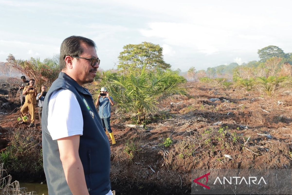 Kebakaran lahan di Aceh Barat berhasil disekat, cegah meluasnya sebaran api