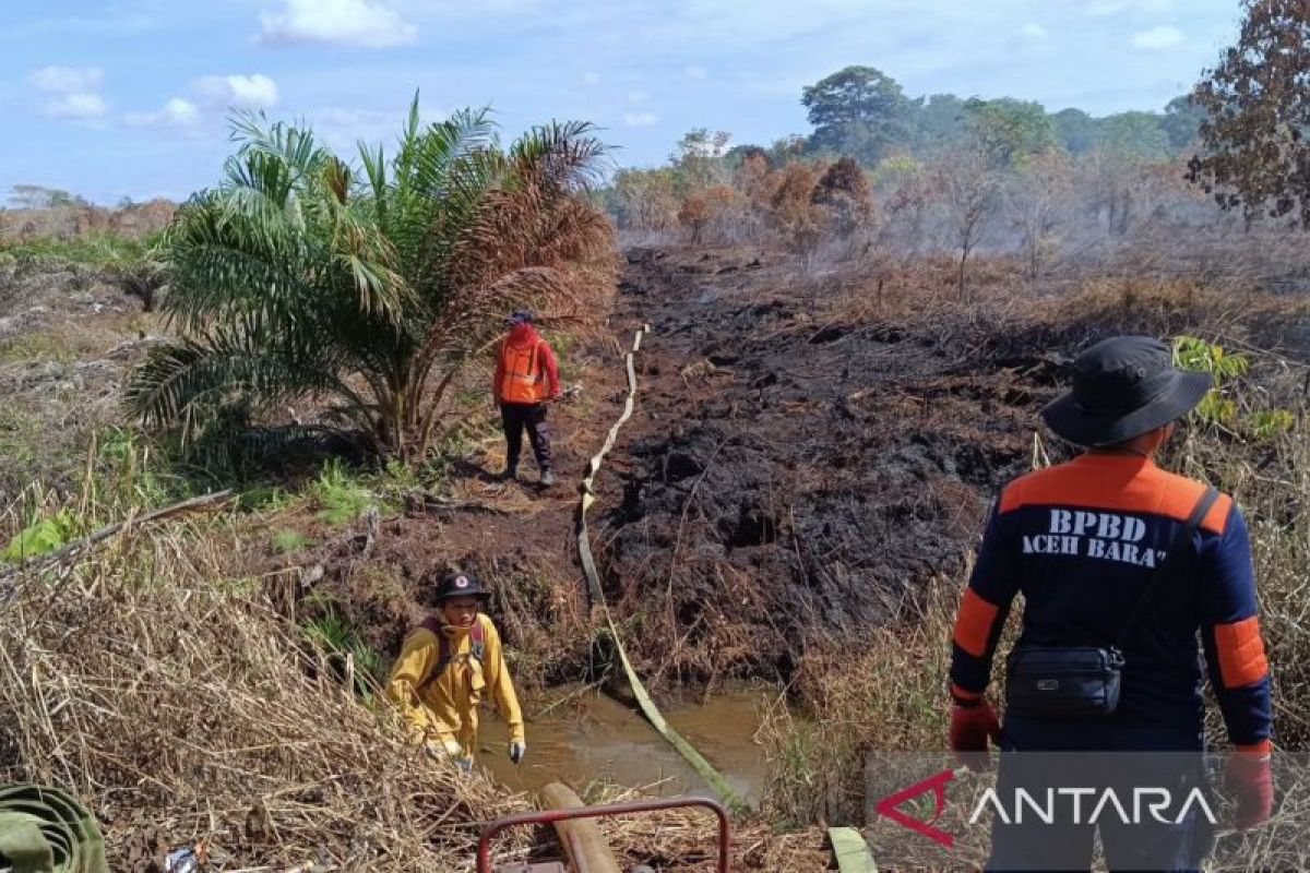 65 persen kebakaran lahan di Aceh Barat berhasil dipadamkan