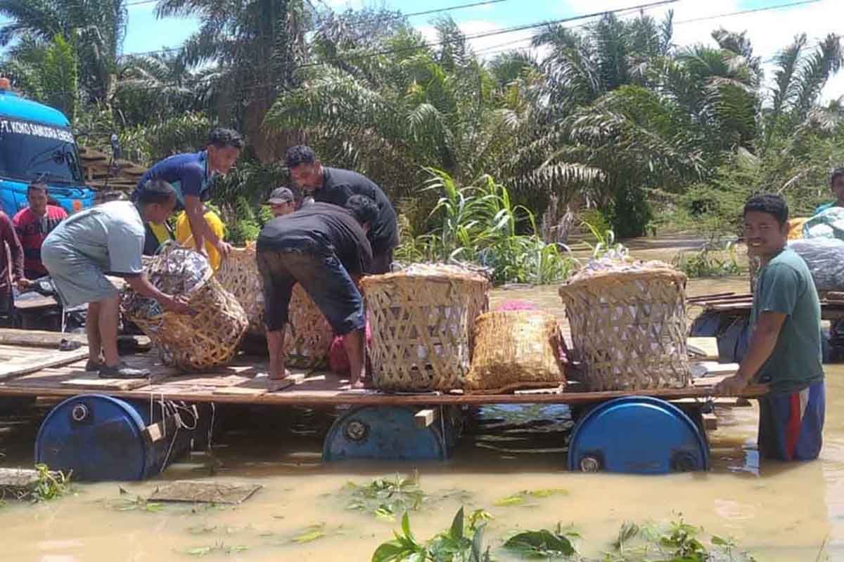 Penanganan banjir Trumon, Aceh Selatan butuh dukungan pemerintah pusat