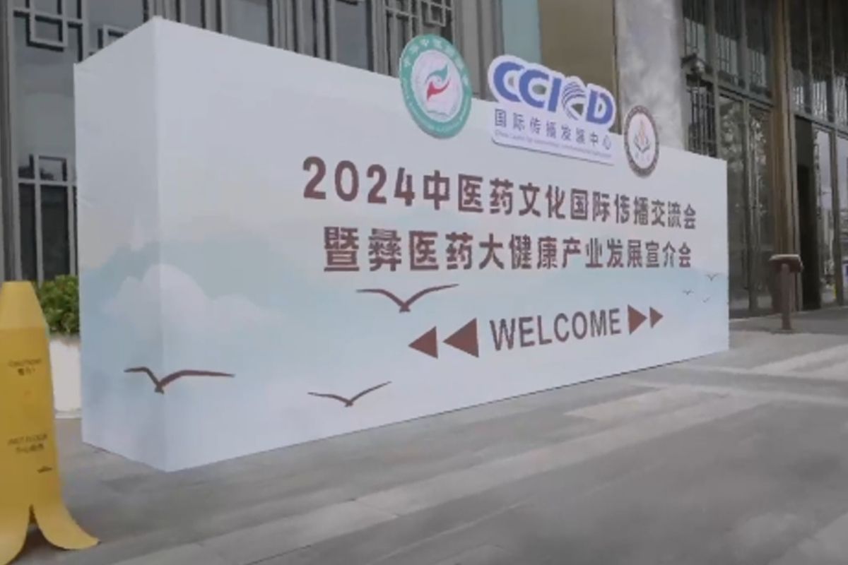 The 2024 Seminar on International Communication of Chinese Medicine