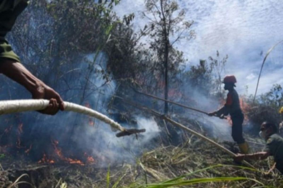 Pantauan satelit Tera sebut titik panas di Sumut turun  tinggal segini