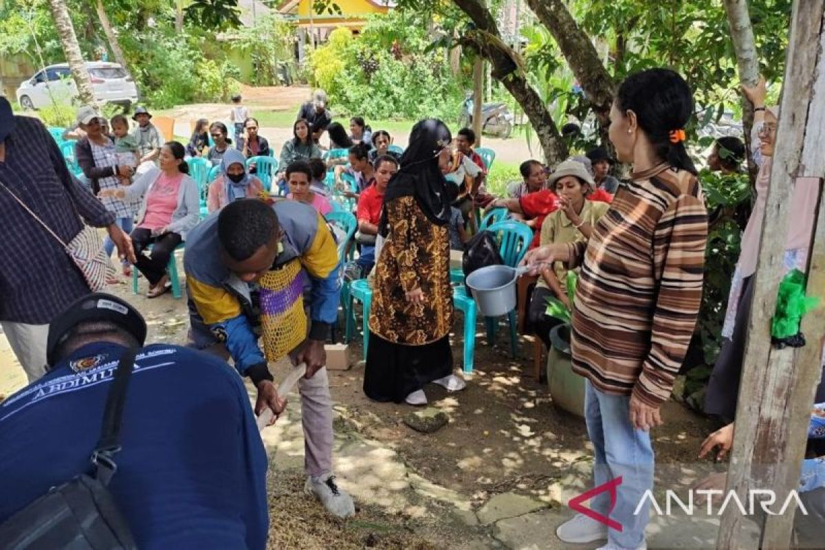 Unimuda Sorong latih Kelompok Wanita Osok buat pupuk kompos