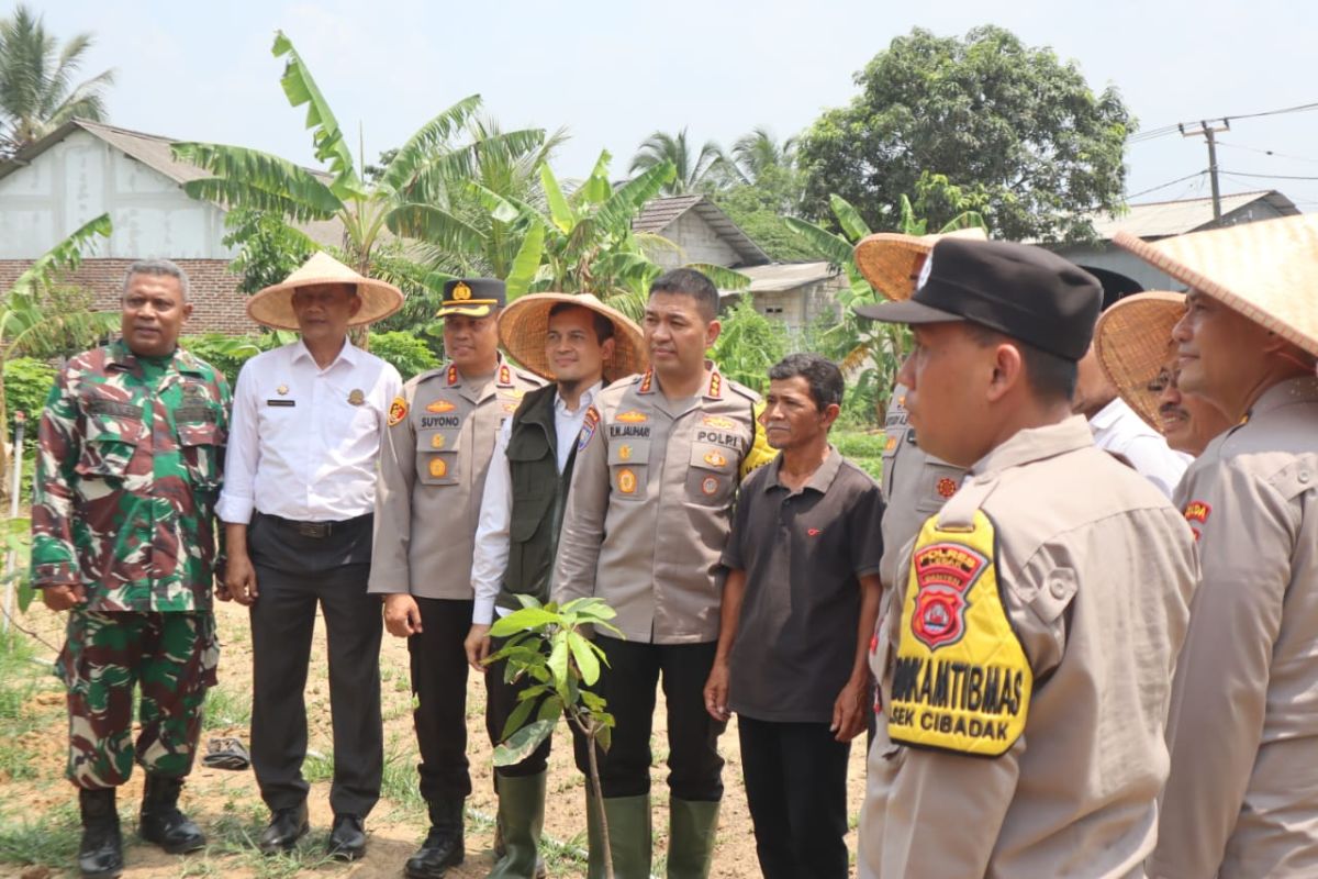 Polda Banten salurkan bantuan pertanian ke petani Lebak