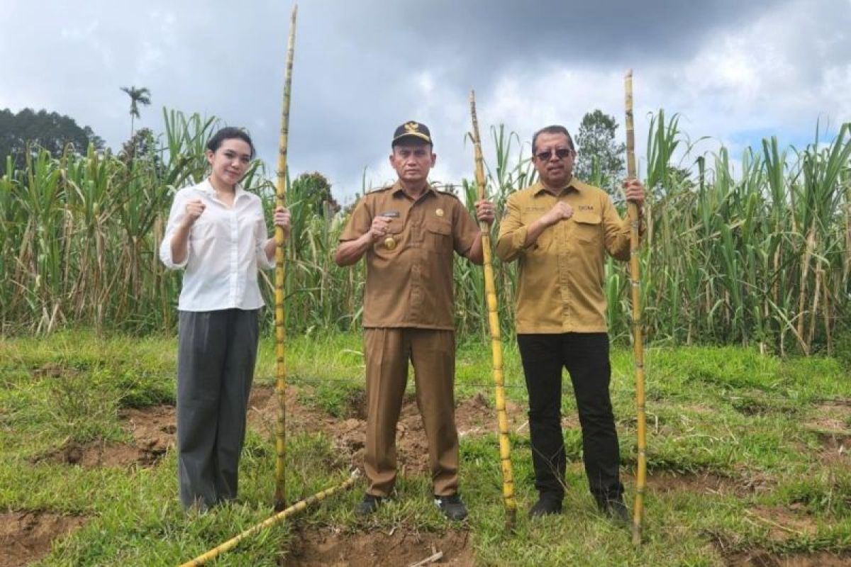 Koperasi Kana-UGM bersinergi dukung pertanian berkelanjutan di Agam