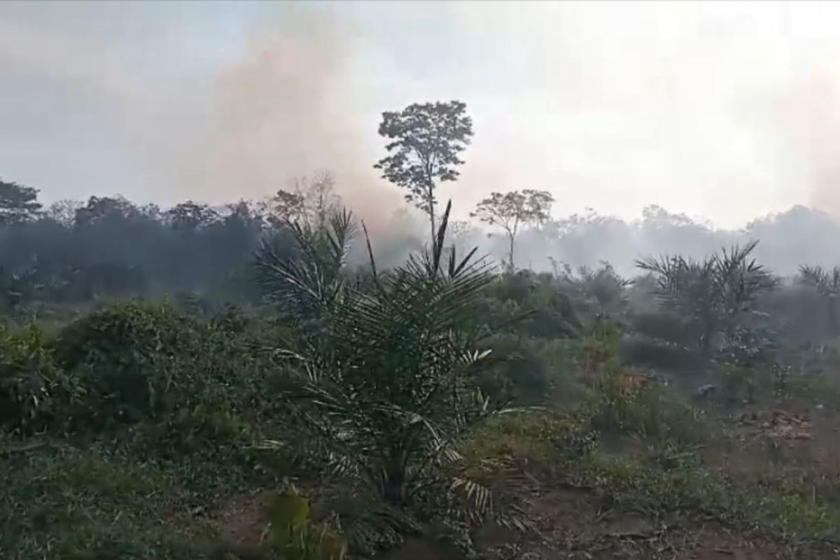 BPBD Batanghari akan perpanjang status siaga karhutla