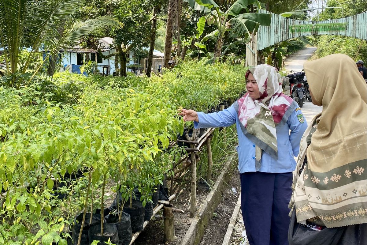 Pemkot Batam beri insentif ke kelompok tani agar mandiri