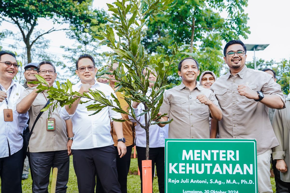 Menhut sebut produk perhutanan sosial pasok program makan bergizi gratis