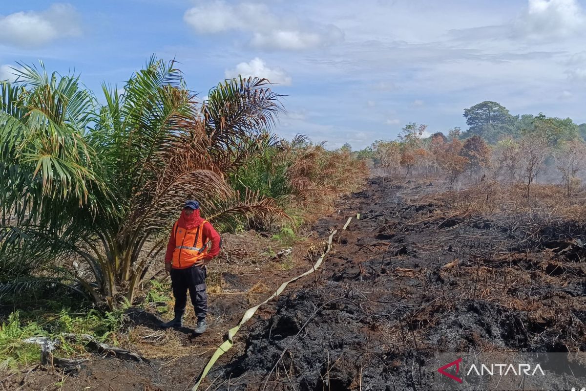 Kebakaran lahan di Aceh Barat tersisa 10 persen